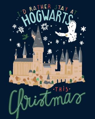 Děkujeme, že jste s námi i letos otevřeli dveře do světa kouzel! ✨ Za celý tým z Příčné ulice vám přejeme Vánoce plné...